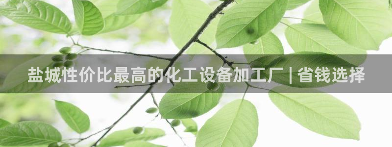 门徒娱乐平台登录不了